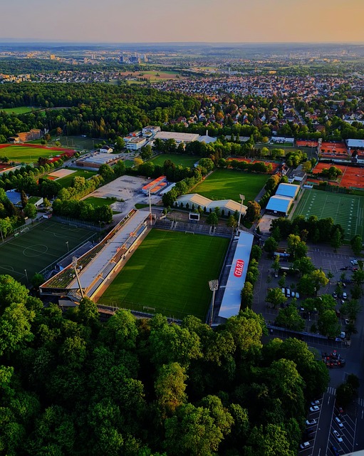 的不成熟 的不成熟