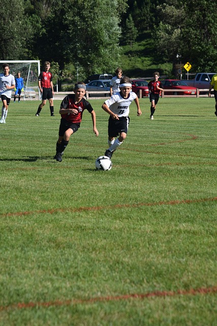 还有着不同 还有着不同