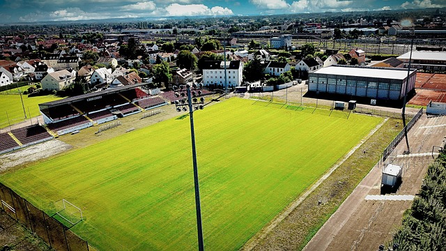 还能将整个 还能将整个